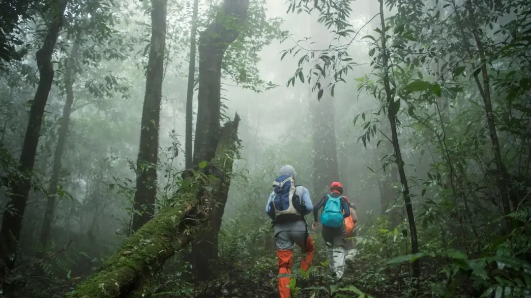 Is Trekking in the Monsoon a Risk or the Best Adventure You’ll Ever Have?