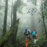 Is Trekking in the Monsoon a Risk or the Best Adventure You’ll Ever Have?