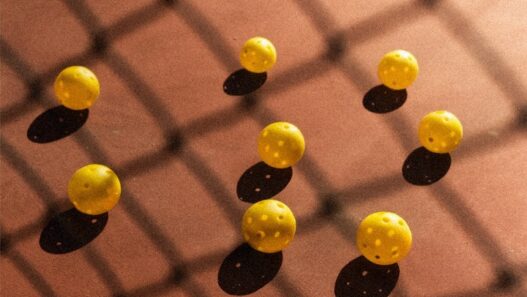 Pickleball Takes Over Delhi: The Countdown to The Delhi Open 2025 Begins