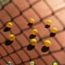 Pickleball Takes Over Delhi: The Countdown to The Delhi Open 2025 Begins