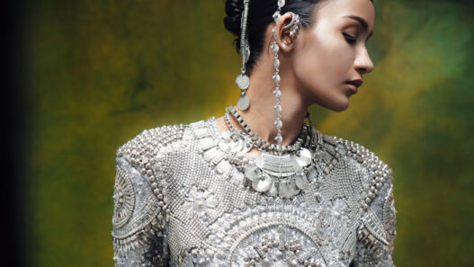 Siddhartha Bansal Unveils The Great Indian RHAPSODY