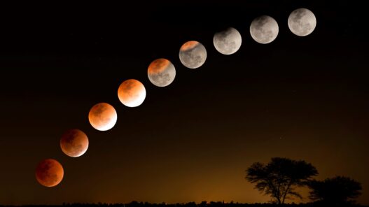 Can a Lunar Eclipse Really Spoil Your Food? Separating Myths from Meals in 2025