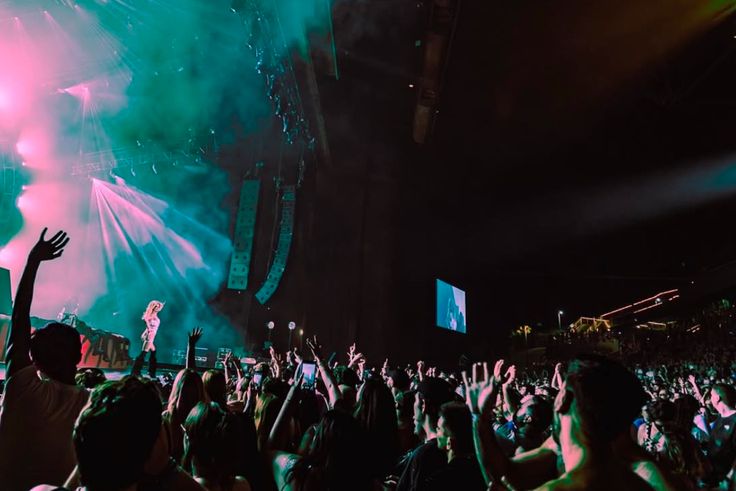 January Social Calendar: Events, Concerts & Festivals to Bookmark