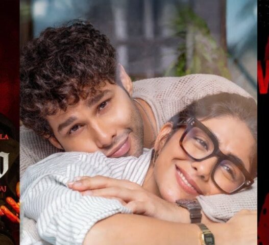 Bollywood Movies to Look Forward to in February 2026