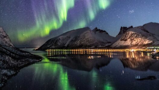 Why ‘Noctourism’ Is Emerging as Biggest Travel Trend