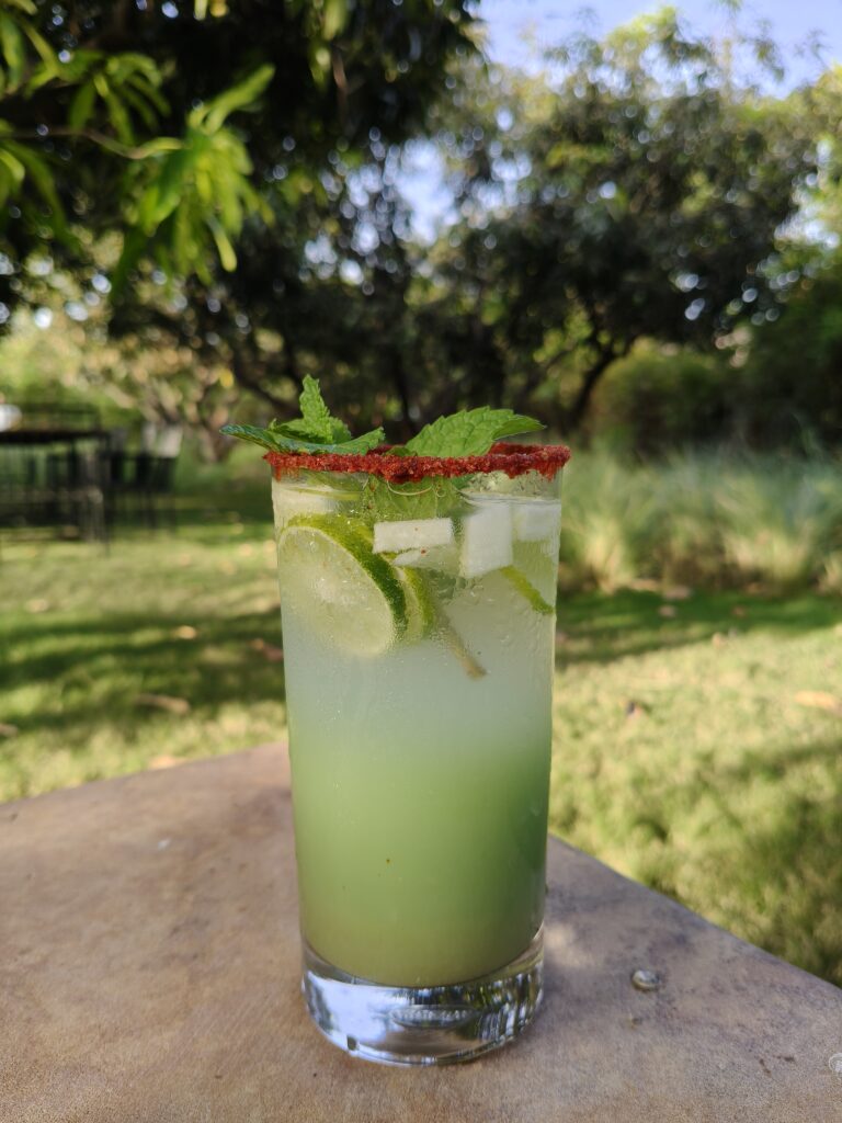 woods at sasan by the fern hotel and resort mocltails