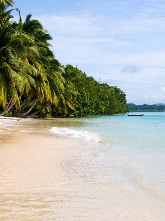 Islands Nobody Flies To