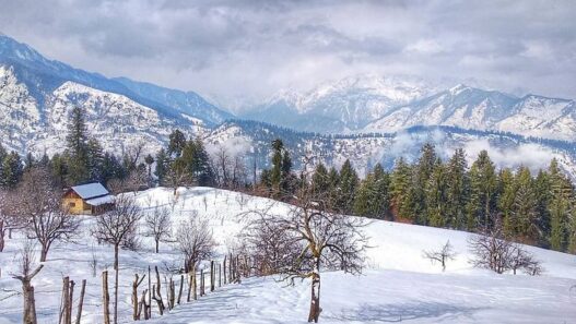 Skip the Tourist Rush, Find Yourself in Kufri Valley This Summer