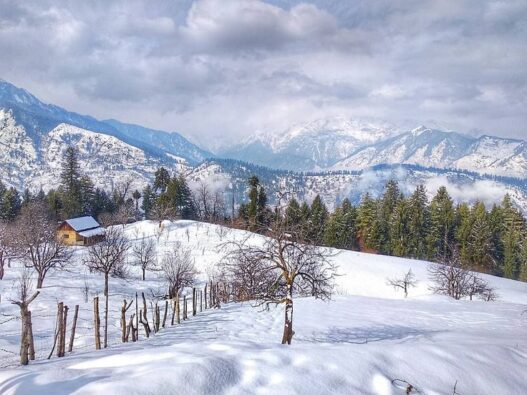 Skip the Tourist Rush, Find Yourself in Kufri Valley This Summer