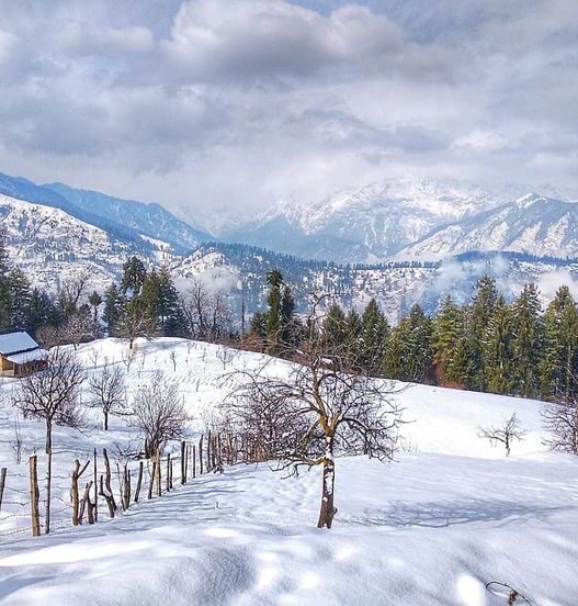 Skip the Tourist Rush, Find Yourself in Kufri Valley This Summer