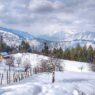 Skip the Tourist Rush, Find Yourself in Kufri Valley This Summer