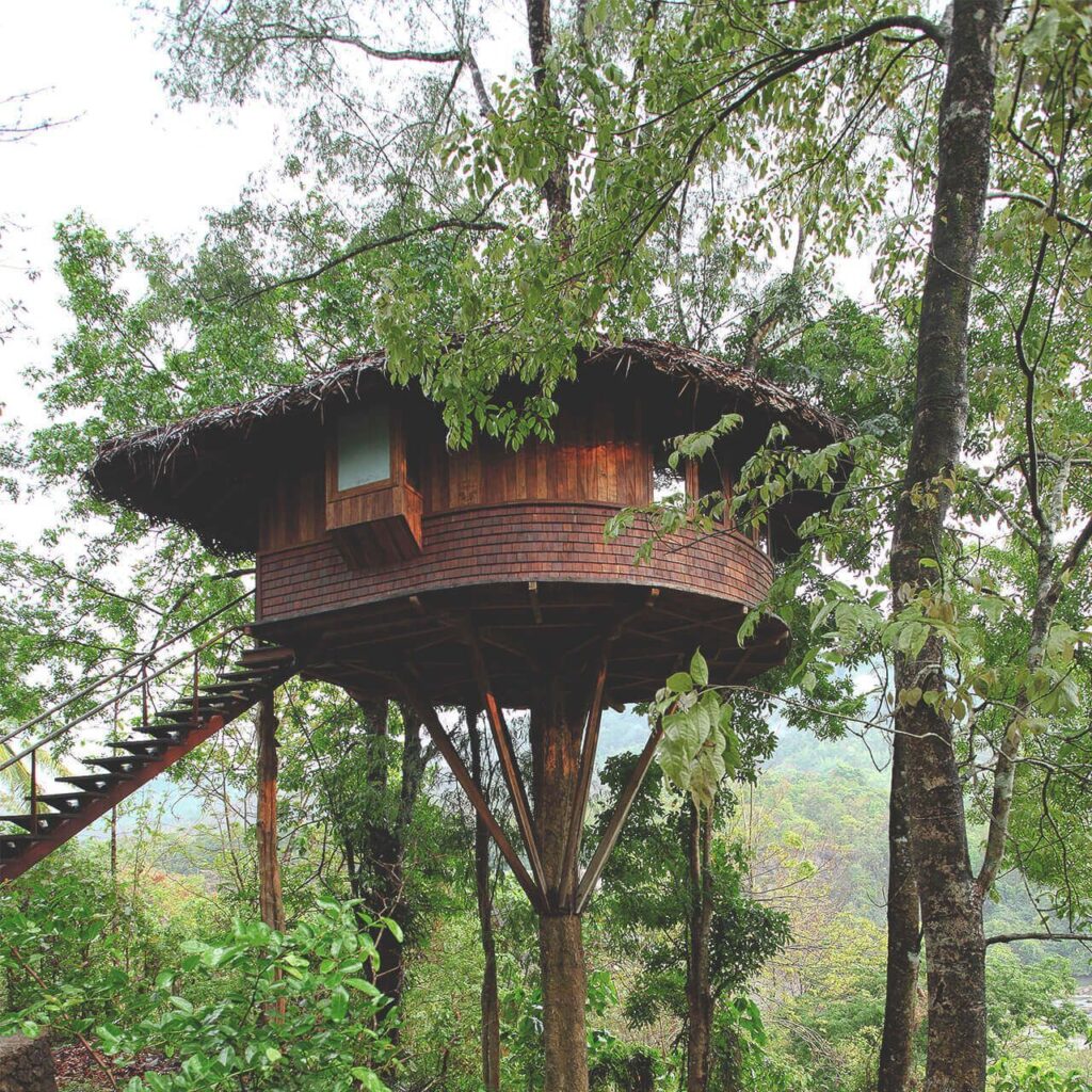 Rainforest Resort, Kerala