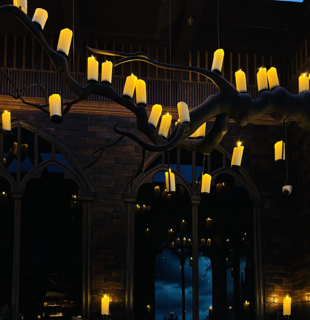 luna et sol review , restaunrant review of luna et sol harry potter theme ongoing